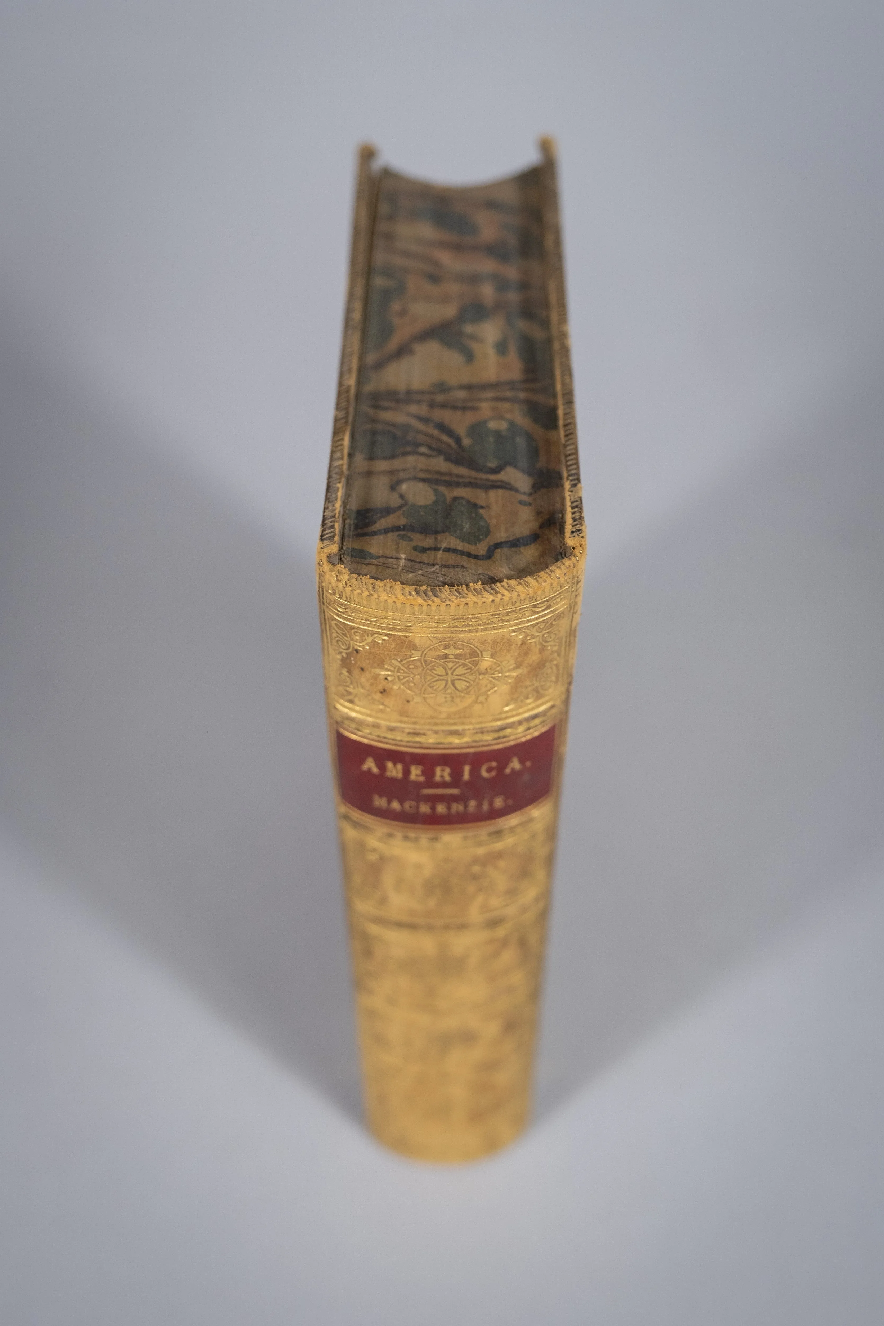 1882 America, A History by Robert Mackenzie