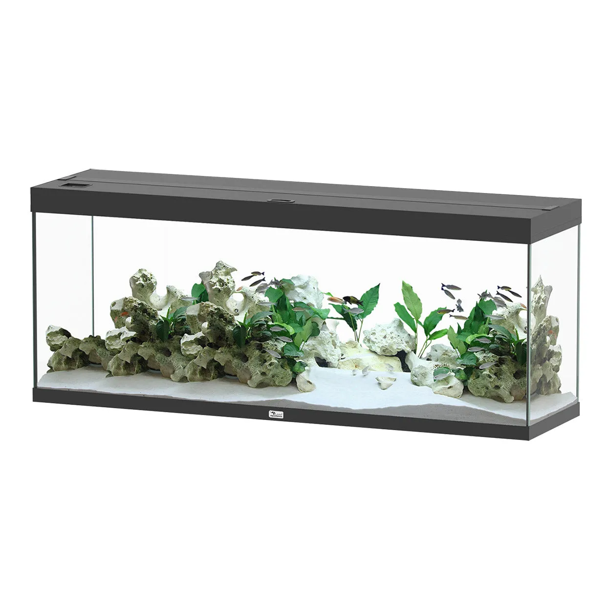 Aquatlantis Splendid 150 Aquarium 59" x 16" x 24" - 3 Colours (Special Order Product)