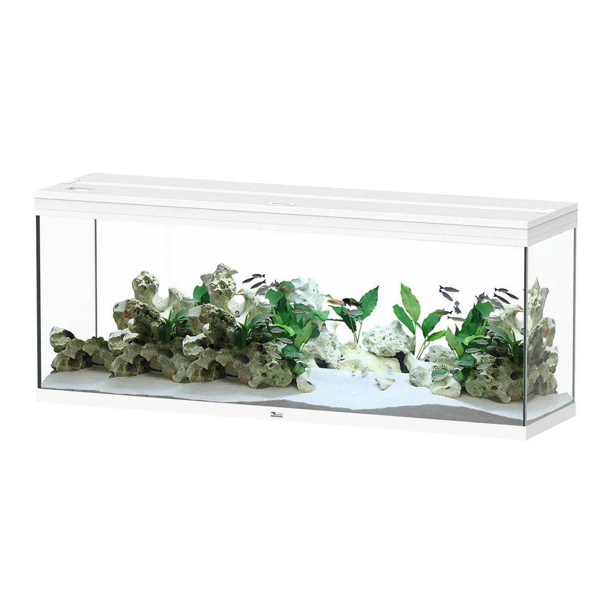 Aquatlantis Splendid 150 Aquarium 59" x 16" x 24" - 3 Colours (Special Order Product)