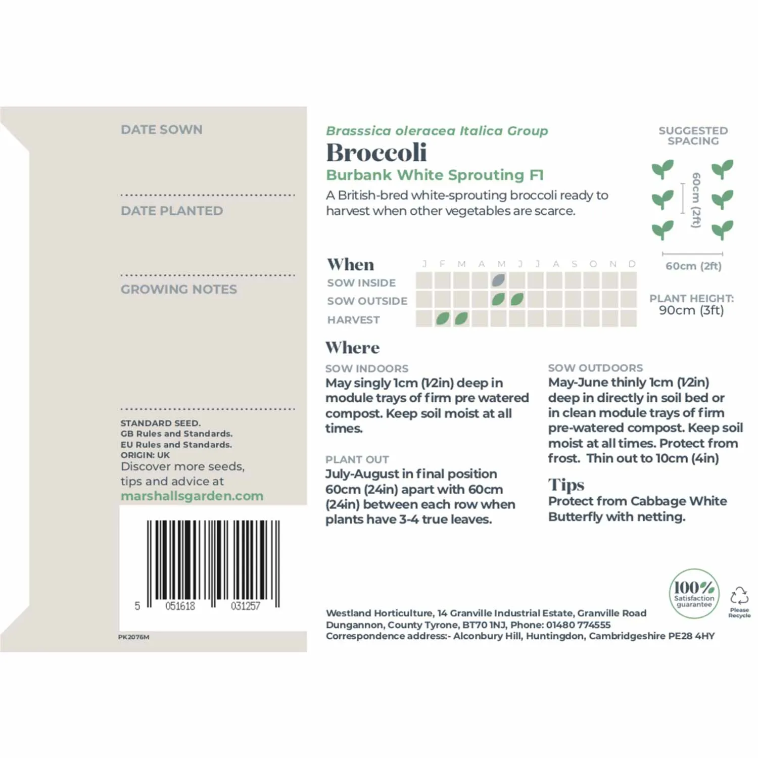 Broccoli Seeds 'White Sprouting Burbank' F1