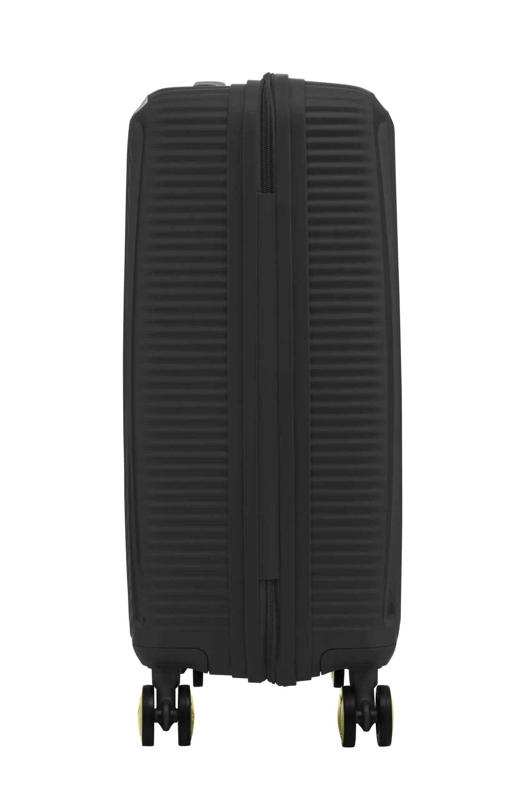 CURIO  - BLACK