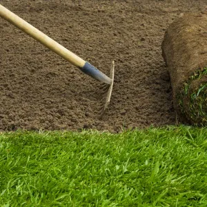 Lawnmix® Welsh Topsoil Sample