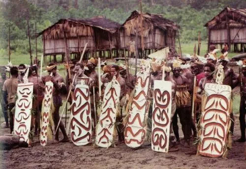 RARE KANINGARA CLAN WARRIOR ARROW DEFLECTOR WAR SHIELD SEPIK PAPUA GUINEA 9A39